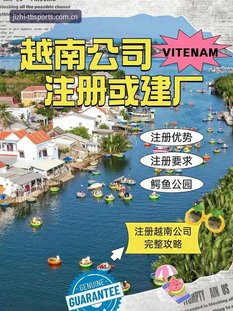 4步掌握天博tb平台：从注册到精通的全流程使用指南