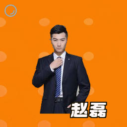 赵磊